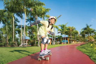 Skate Boarding Rink